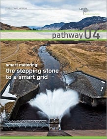pathway 04 - smart metering: the stepping stone to a smart grid