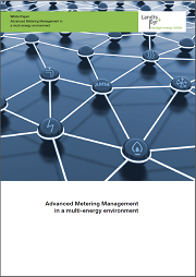 Advanced Metering Management in a Multi-energy Environment