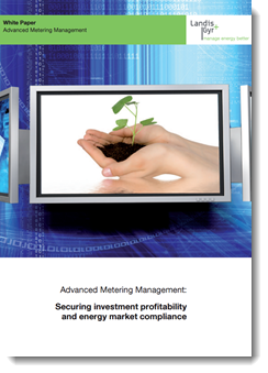 Advanced Metering Management: Securing Investment Profitability and Energy Market Compliance